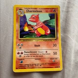 1995 charmeleon
